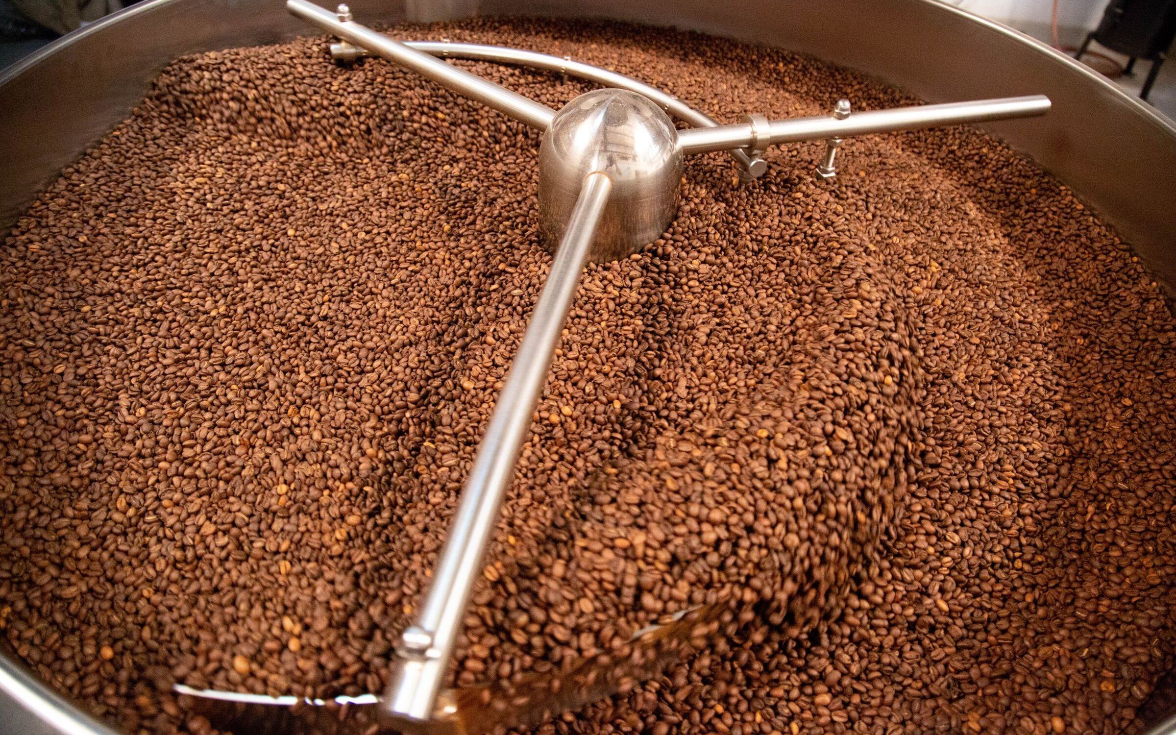Freshly roasted beans cooling in the roaster drum